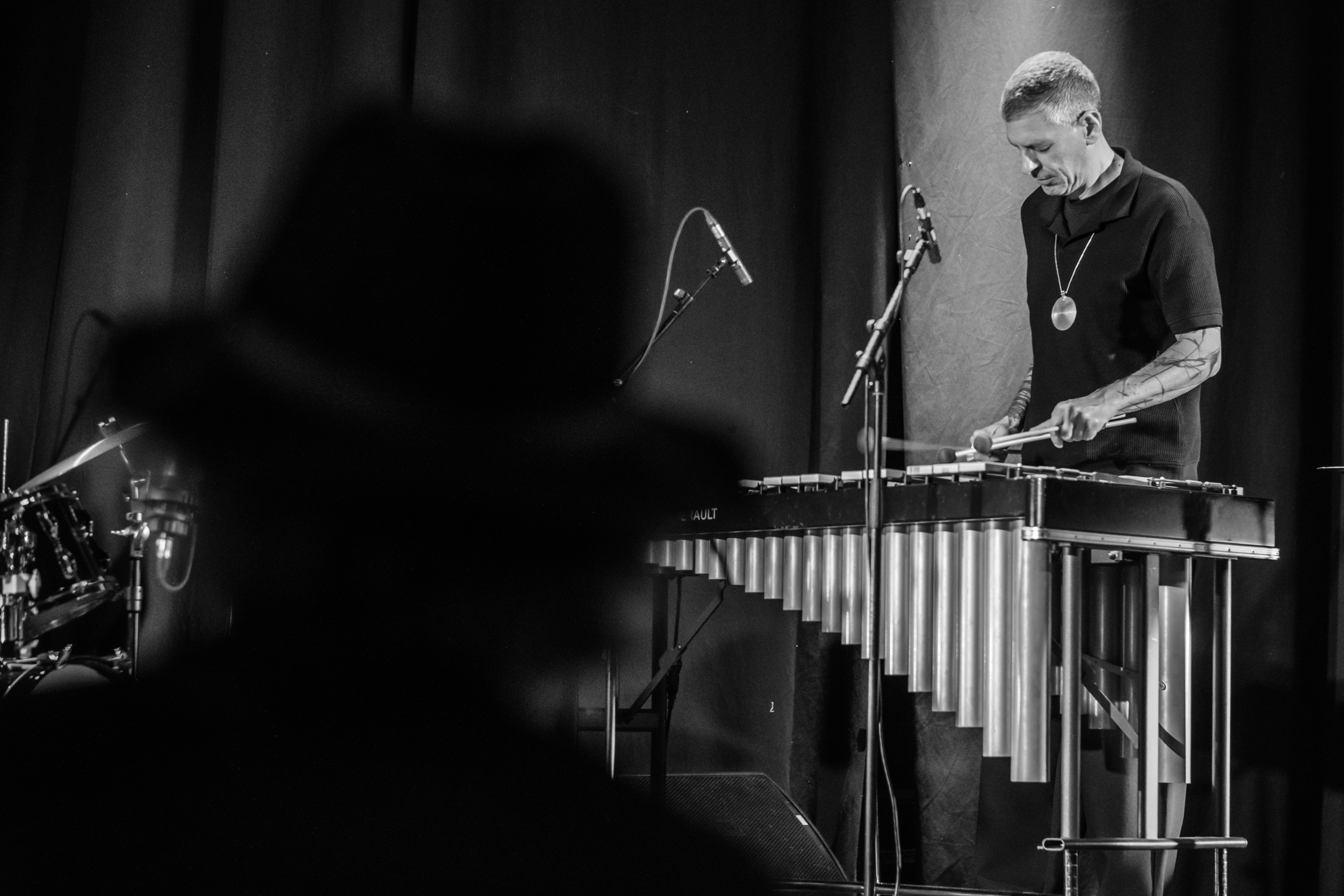 A vibraphone player seen beyond a dark silhouetted audience member.
